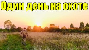 Охота на пернатую дичь 2024! Один день на охоте.