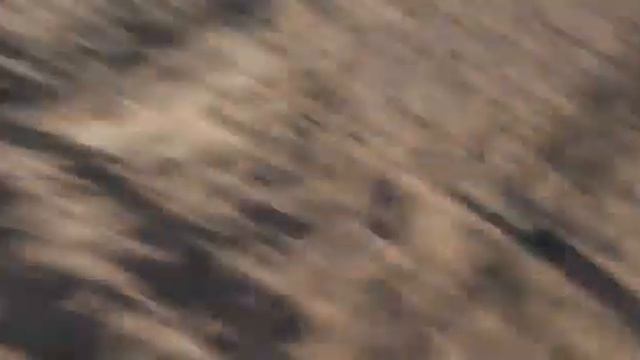 Нежные парочки, как же я вас блин ненавижу! смотреть онлайн