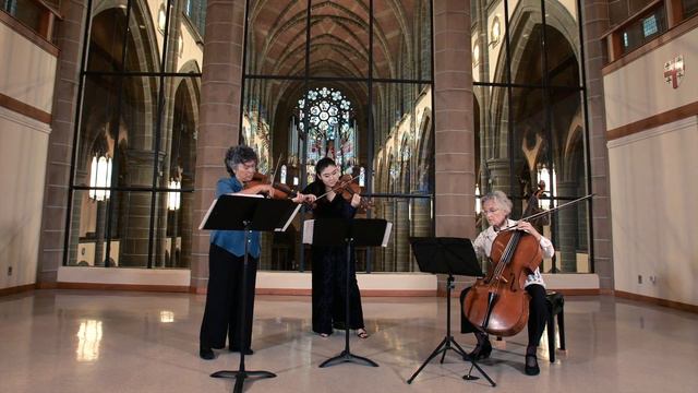 J.S. Bach: Ciaccona in D Minor, BWV 1004 | Transcription by Jeanne Lamon смотреть онлайн