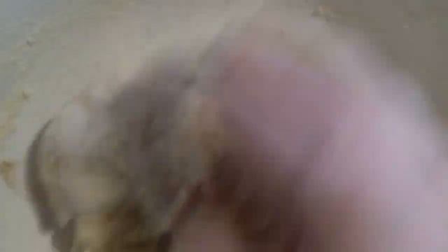 Всего по трошки и получился вкусный ароматный пирог! ? смотреть онлайн