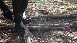 Одиночный поход в лес с ночевкой в палатке с печкой.