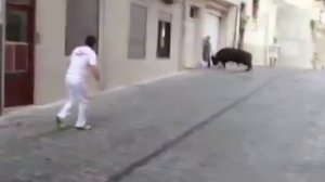 Нападение быка