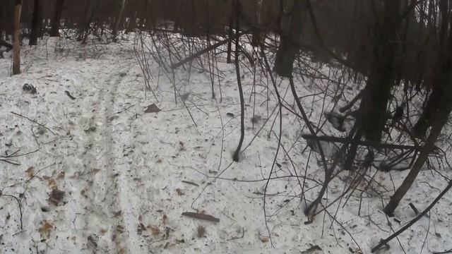 ЗАЧЕМ квартальный столбик в лесу /  Что за цифры на столбиках в лесу