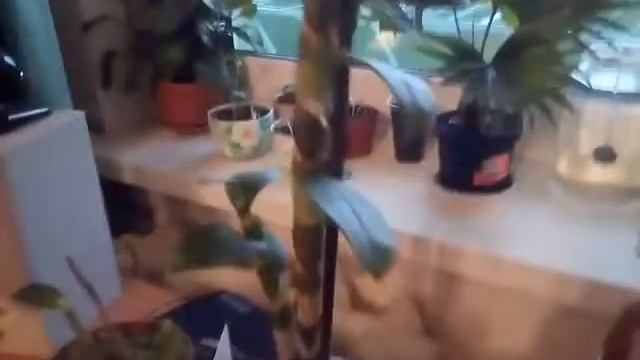 Подарки от Деда мороза.