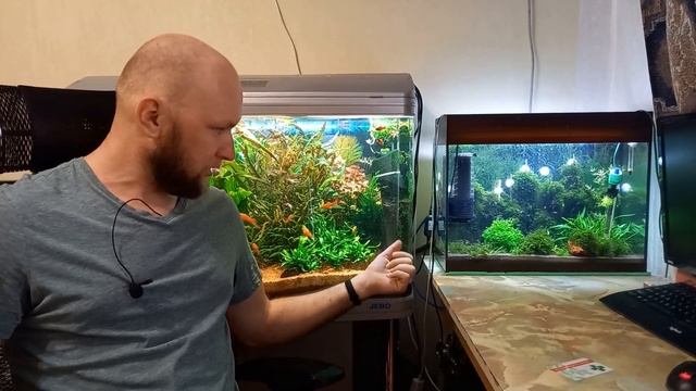 Зеленый налет на стекле аквариума смотреть онлайн