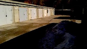 Игуана и мотор с лепестковым клапаном