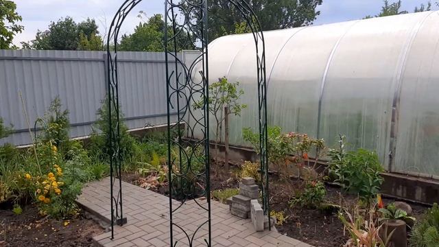 РОЗА ДЖАЗ//Rosa Jazzz. Монопосадка 15 06.2023 смотреть онлайн