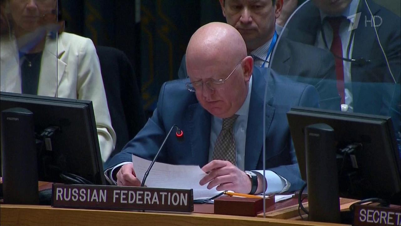 Совет Безопасности ООН не принял никаких решений по гуманитарной ситуации на Украине