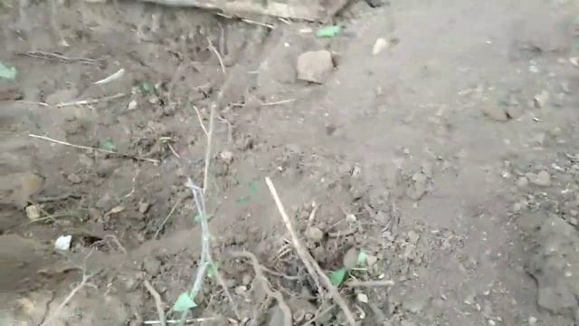 Шурф, такой шурф, чем дальше от дома, тем меньше находок, проверено? смотреть онлайн