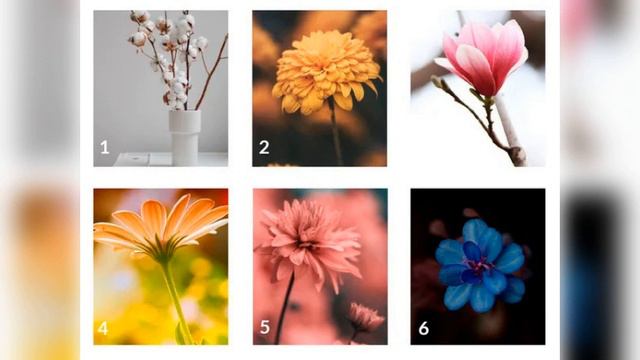 Тест “Внутренний голос”. смотреть онлайн