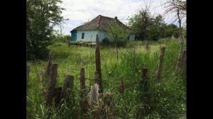 Утро в деревне. Звуки природы в деревне. Для расслабления нервной системы. Звуки деревни