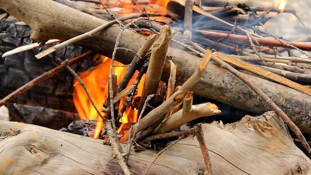 Дикая кухня - РЫБА В ГЛИНЕ | Steamed Fish In Clay