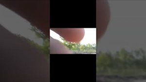 как делать burnout на скутере мопеде итд