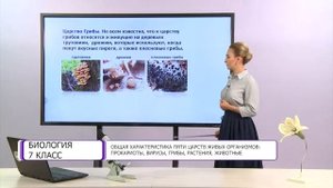 Биология. 7 класс. Общая характеристика пяти царств живых организмов /25.09.2020/