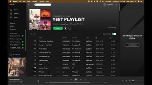 How To Play Your Spotify Playlist in Discord (FOR FREE)