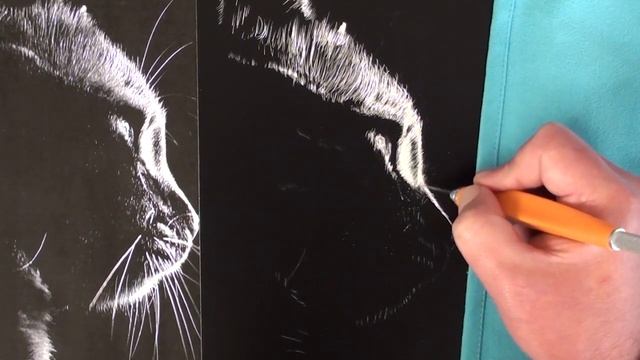 how to scratchboard - scratchboard drawing tutorial - scraperboard lesson смотреть онлайн
