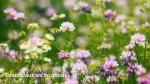 На день рождение муж показал свою любовницу, а свекровь...