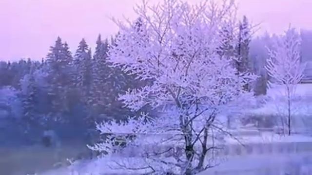 РОЗОВЫЕ СНЫ Музыка Dreaming in 432Hz автор клипа Зоя Боур_Москаленко смотреть онлайн