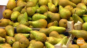 Груши: в заготовки и не только. Доброе утро. Фрагмент выпуска от 31.08.2023