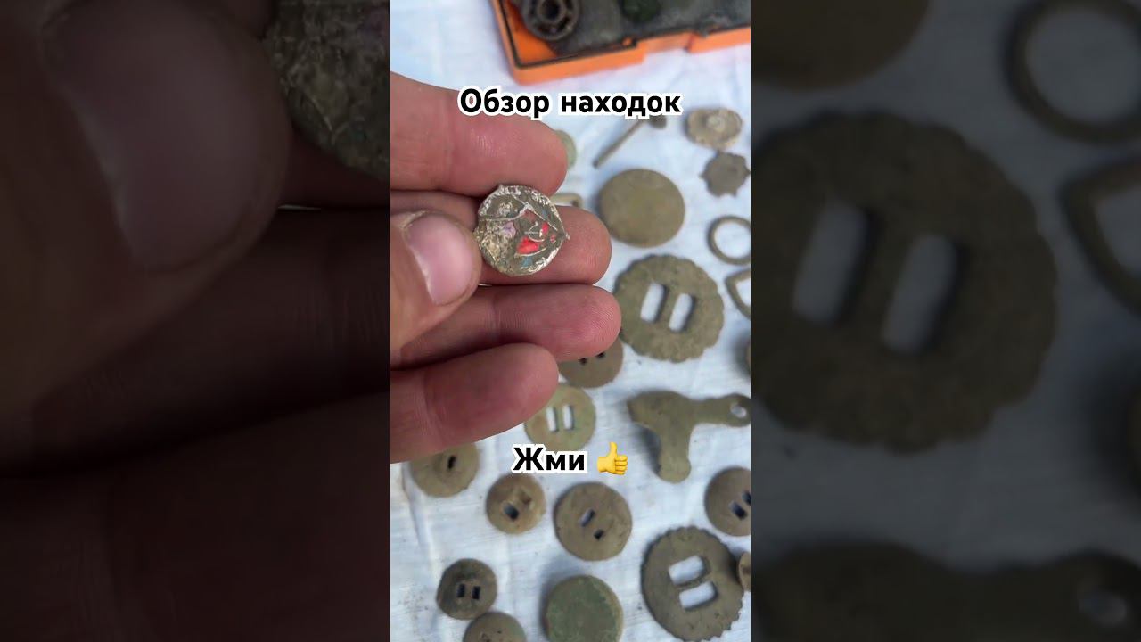 #metaldetecting #коп #хламхантерс #нелегалы #находки  #монеты  #коп