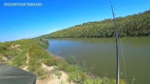 НА КАКОГО ЧЕРВЯ ЛУЧШЕ ЛОВИТЬ САЗАНА.НА ВЫПОЛЗКА ИЛИ ДЕНДРОБЕНА?ОПЯТЬ САЗАНЫ МЕНЯ ЗАСТАВИЛИ ПОБЕГАТЬ
