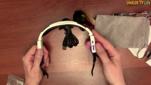 Крутые очки со встроенной блютуз гарнитурой