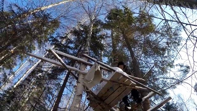 НАШЛИ МЕСТО ДЛЯ ИЗБЫ | ВЫЖИВАНИЕ В ЛЕСУ | ИСПУГАЛИСЬ МЕДВЕДЯ | НАШЛИ БЕРЛОГУ | ЗАЛЕЗЛИ НА ДЕРЕВО. # смотреть онлайн