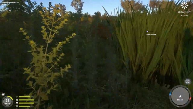 Русская Рыбалка 4 | РР4 | Янтарка Ахтуба Где клюет? смотреть онлайн