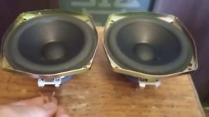 Technics T12P01B6  НЧ/СЧ динамики 12 см