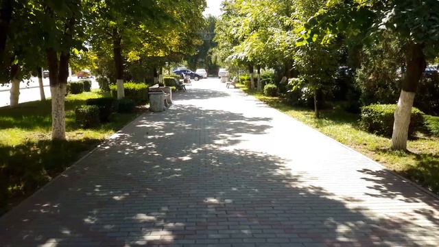 Vlog: идем на прогулку🌳🌷//подошел ли Леди корм Акана?))🐶 смотреть онлайн