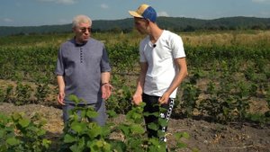 Молодой сад фундука // Что изменилось за 1,5 года? // 1 часть