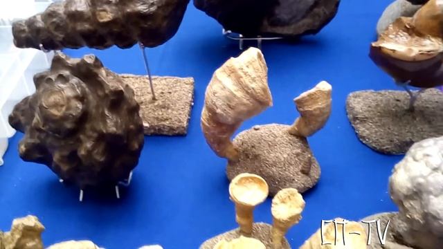 Выставка-ярмарка самоцветов в Ялте. Работы В.Вербицкого. смотреть онлайн