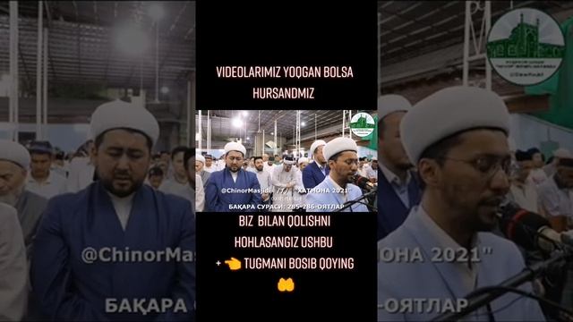 13 октября 2022 г. смотреть онлайн