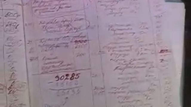 Считаю доходы с огорода. Веду учет и планирую бюджет.
