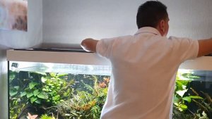 Чистим фильтры. Внутренний фильтр Juwel и внешний фильтр JBL e 902. Аквариум JUWEL 450l.  Часть 48