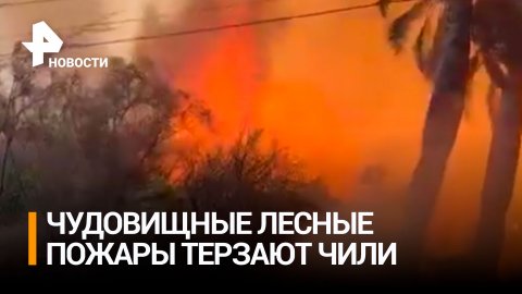 Лесные пожары уничтожили сотни жилых домов в Чили / РЕН Новости