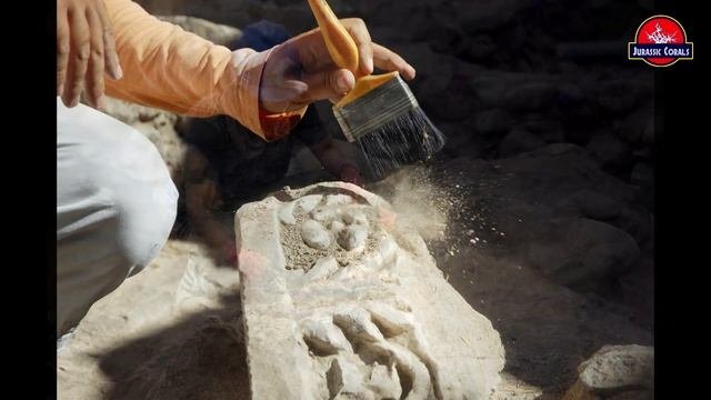 Чем отличается Археолог от Палеонтолога