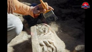 Чем отличается Археолог от Палеонтолога