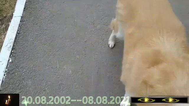 Дары больше нет...?