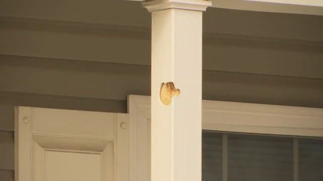 rehobothshooting0213 смотреть онлайн