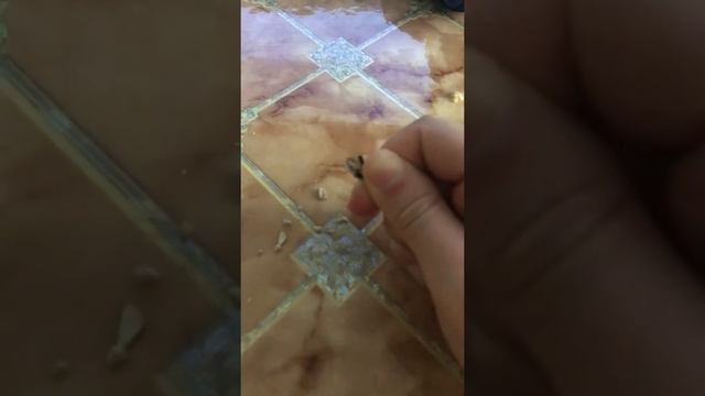 Как быстро почистить семечки смотреть онлайн