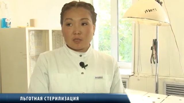 Льготная стерилизация животных в Кызыле смотреть онлайн