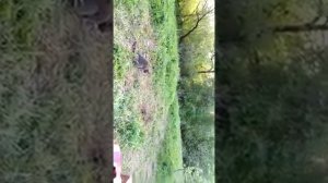 Рыбалка на реке Вашана