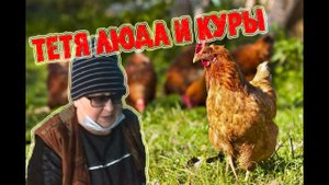 СЕКРЕТЫ  кормления несушек (ТАКОГО ТЫ НЕ ЗНАЛ)