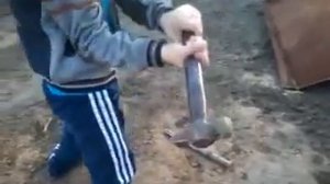 Убийство тарантула