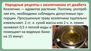 Галега (козлятник) при сахарном диабете