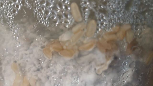 57. Зерномицелий на буром рисе. Серия -4- "20-й день со дня инокуляции". смотреть онлайн