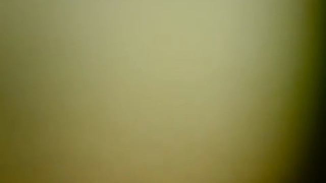 Подводнык камеры для рыбалки FishFocuCams Standart смотреть онлайн