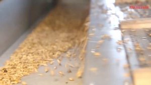 Комплекс зерноочистительно-сушильный производства ПОЛЫМЯ. Беларусь