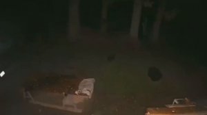 10 Загадочных Существ Снятых на Камеру